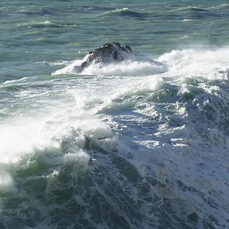 Hotell Meri 1956 E Cucina