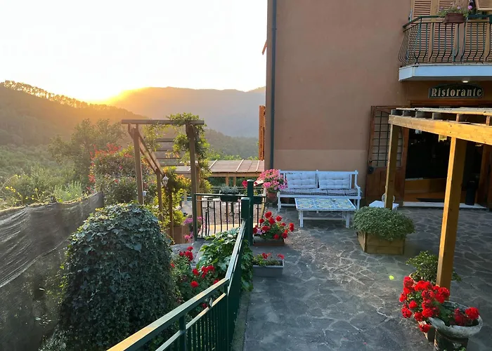 Meri 1956 E Cucina フラムーラ